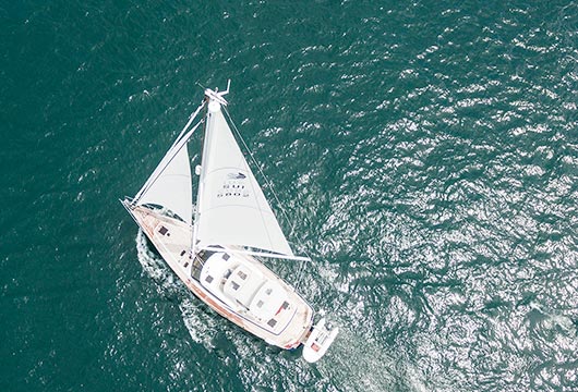 Discovery 58